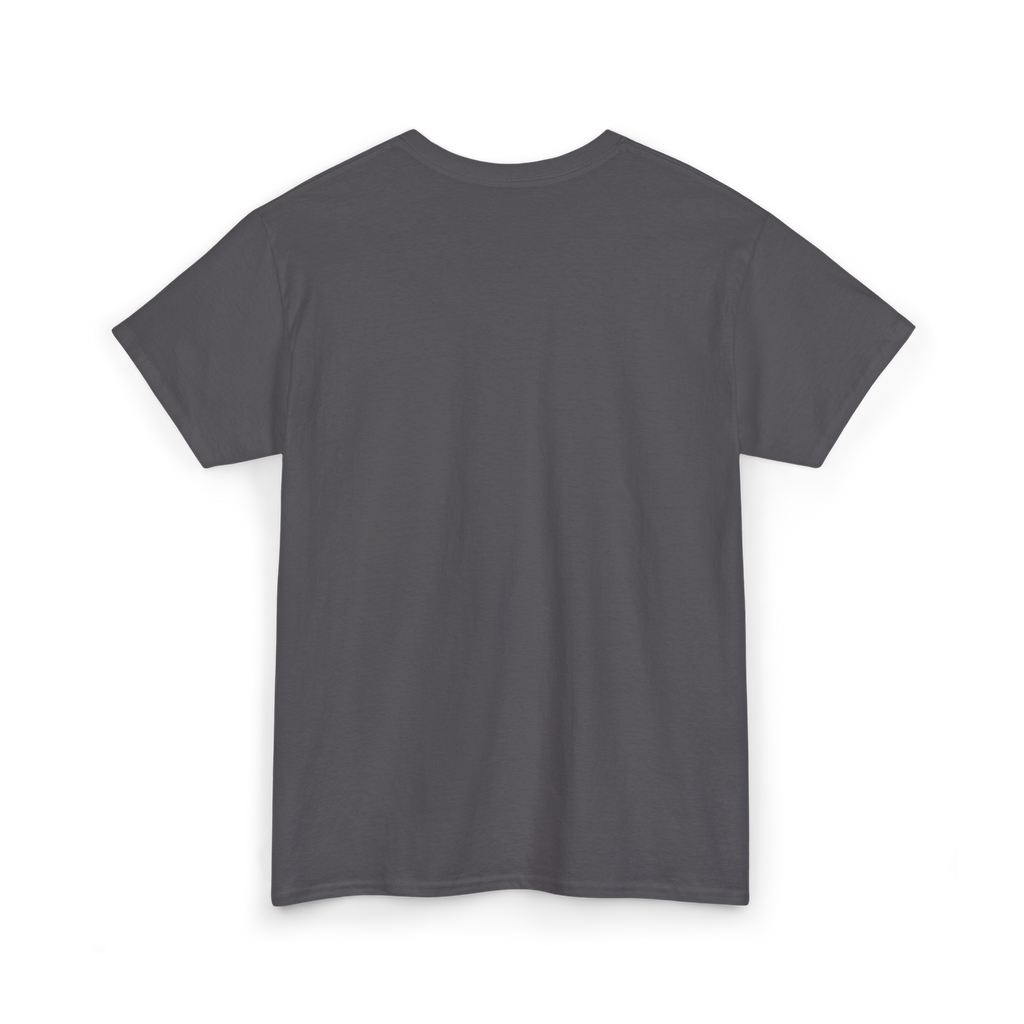 Matthew 6:26 Tee // Charcoal