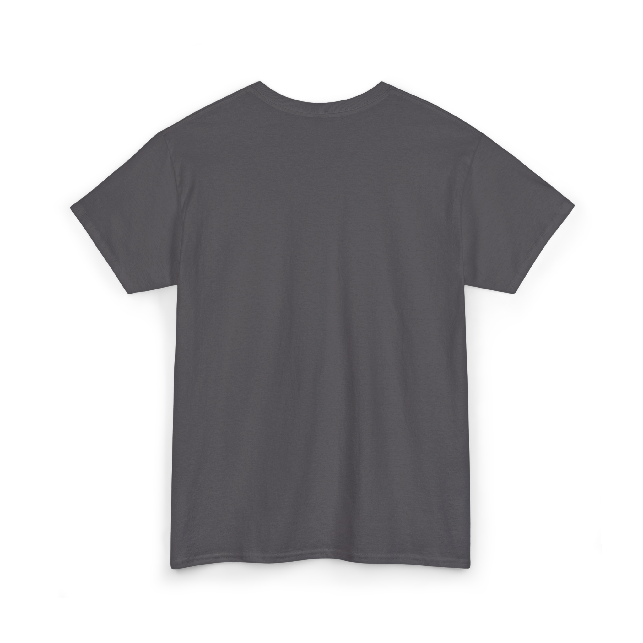 Matthew 6:26 Tee // Charcoal