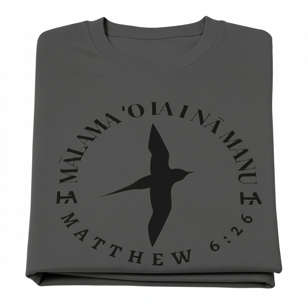 Matthew 6:26 Tee // Charcoal